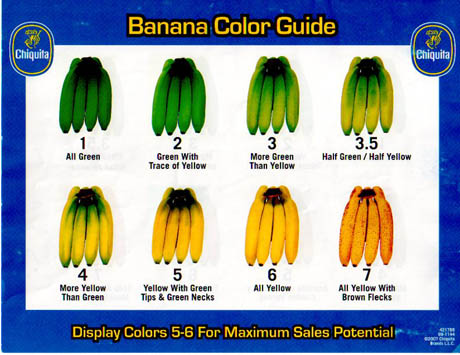 Banana Guide 85