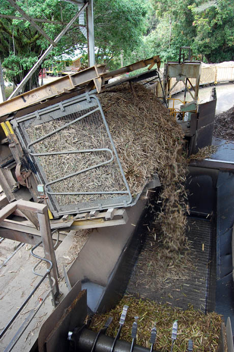 Mossman-sugarmill-emptying-a-canetainer