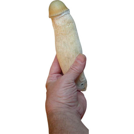 Penis Mushroom 460