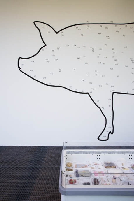 Pig exhibition