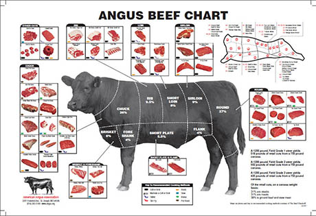 angus-beef-chart 460