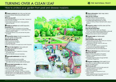 National Trust cleanleaf poster