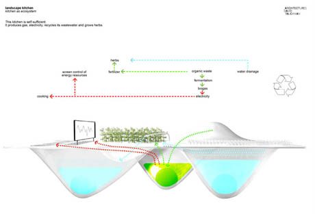 landscape kitchen ecosystem