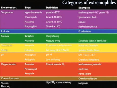 Food Preservation Chart