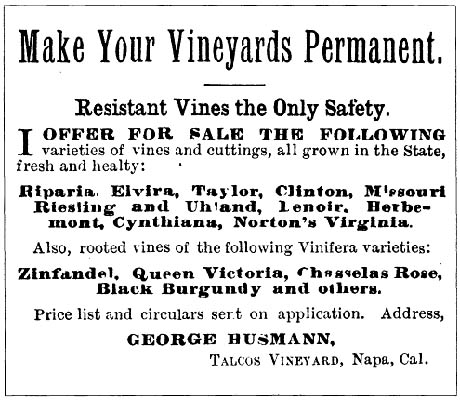 American vines ad 460