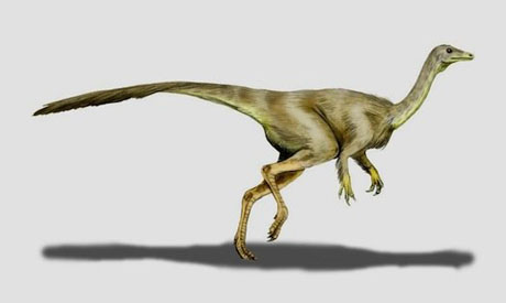 Struthiomimus_460