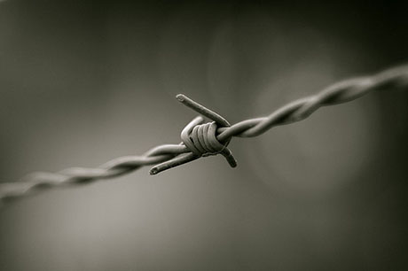 Barbed_wire_B&W 460