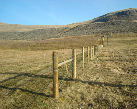 Cheyenne Pasture Fence 460