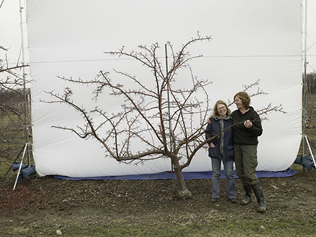 Dr. Susan K. Brown and Jessica Rath during tree photo shoot March 2011 460