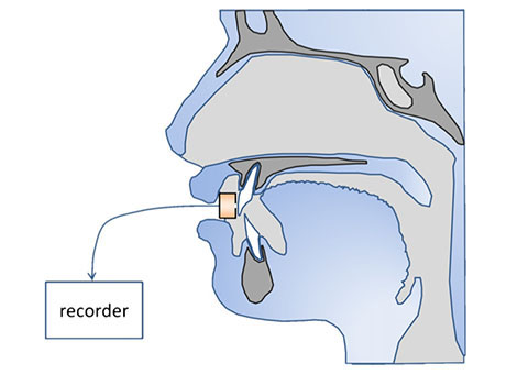 Recorder in mouth 460