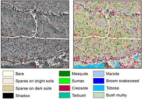 Remote Sensing Laliberte 460