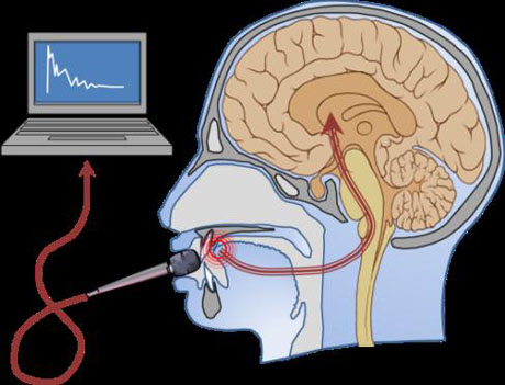 acoustic tribology - listerning to what the tongue feels 460