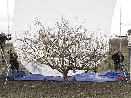 (l-r) Cole Slutsky, Mary Wingfield, Timothy Zwicky, and Dustin McKibben set up the 20 x 30 ft backdrop for the photo Water Sprout 460