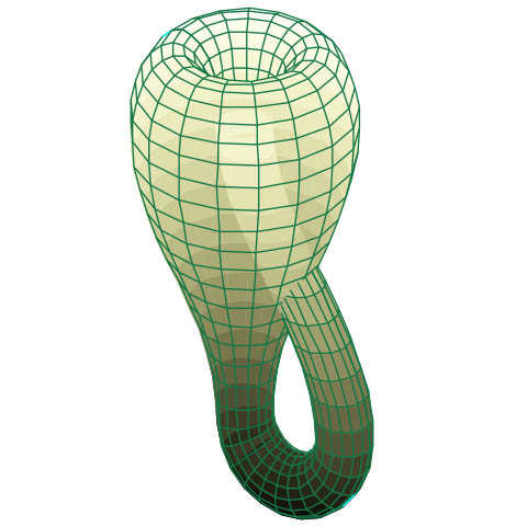 Klein bottle 460