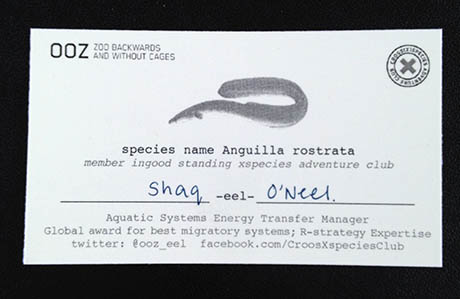 1 Eel business card 460