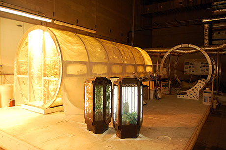 Lunar Greenhouse