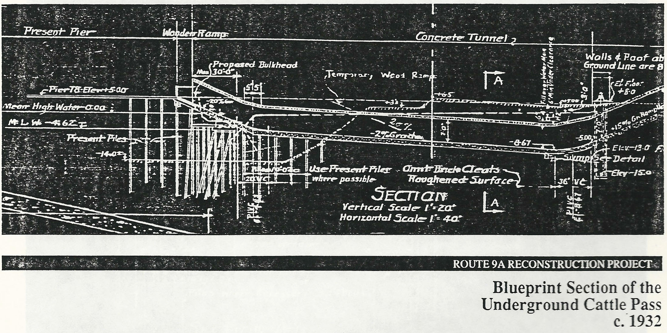 Cow Tunnel Section