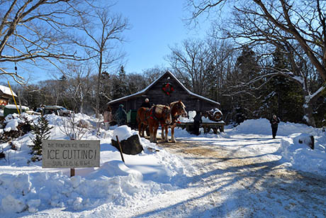 1 Thompson Ice House Ice Cutting today