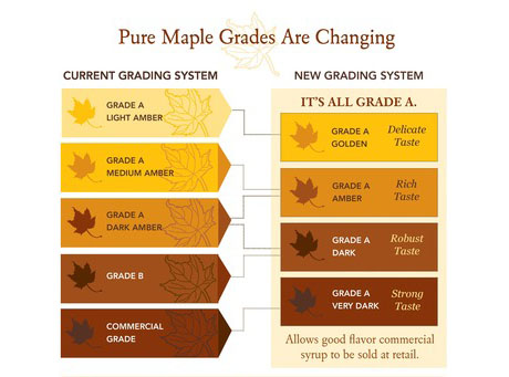 maple-syrup-grades-are-changing-page-0