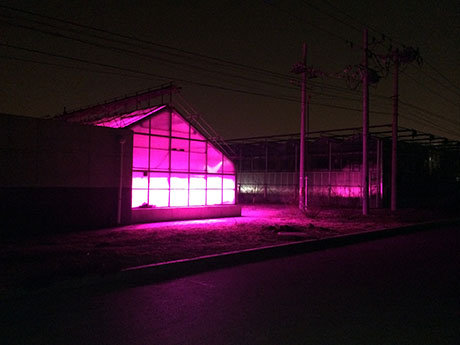 22 Beijing Vegetables Research Centre