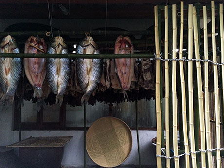 3 Fish drying