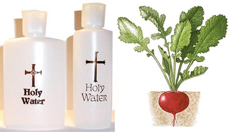 Holy Radish Water, Scientists!