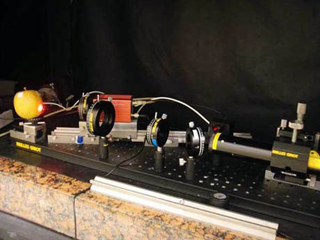 Laser Biospeckle Experiment