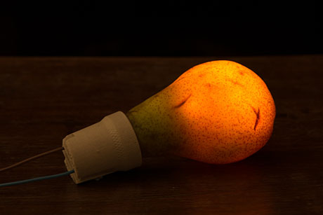 PP-Pear-light-bulb 460