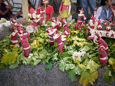 Gastropod: Night of the Living Radishes